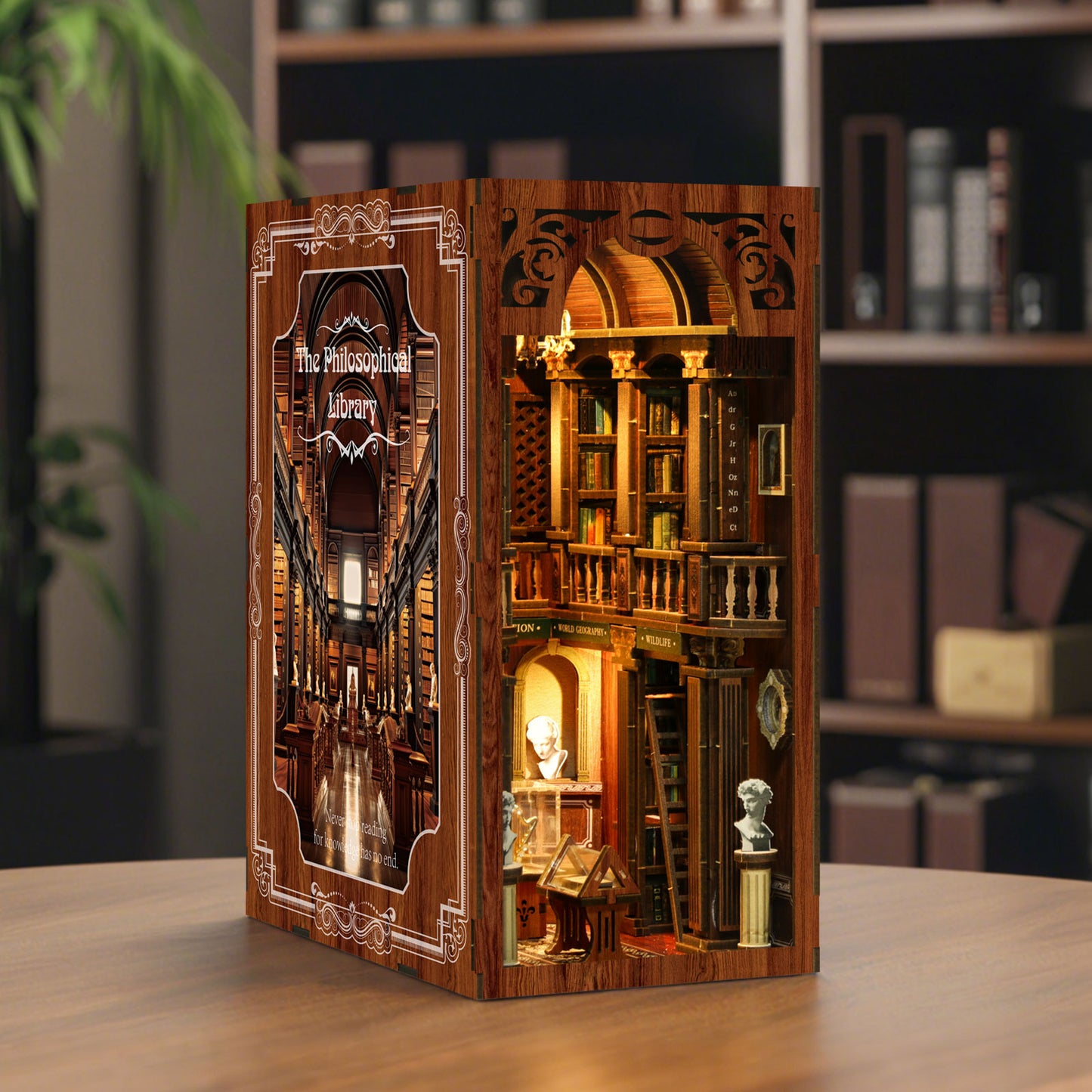 The Philosophical Library DIY Book Nook Kit | Windsor & Scroll
